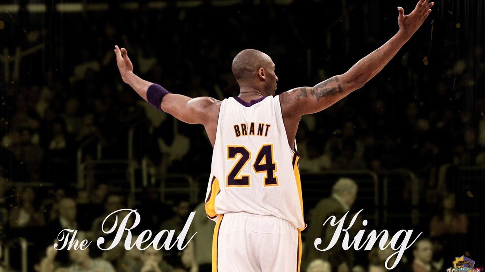 索伯奇迹夜，精密战术碾压法拉利，汉密尔顿关键超越锁定胜局